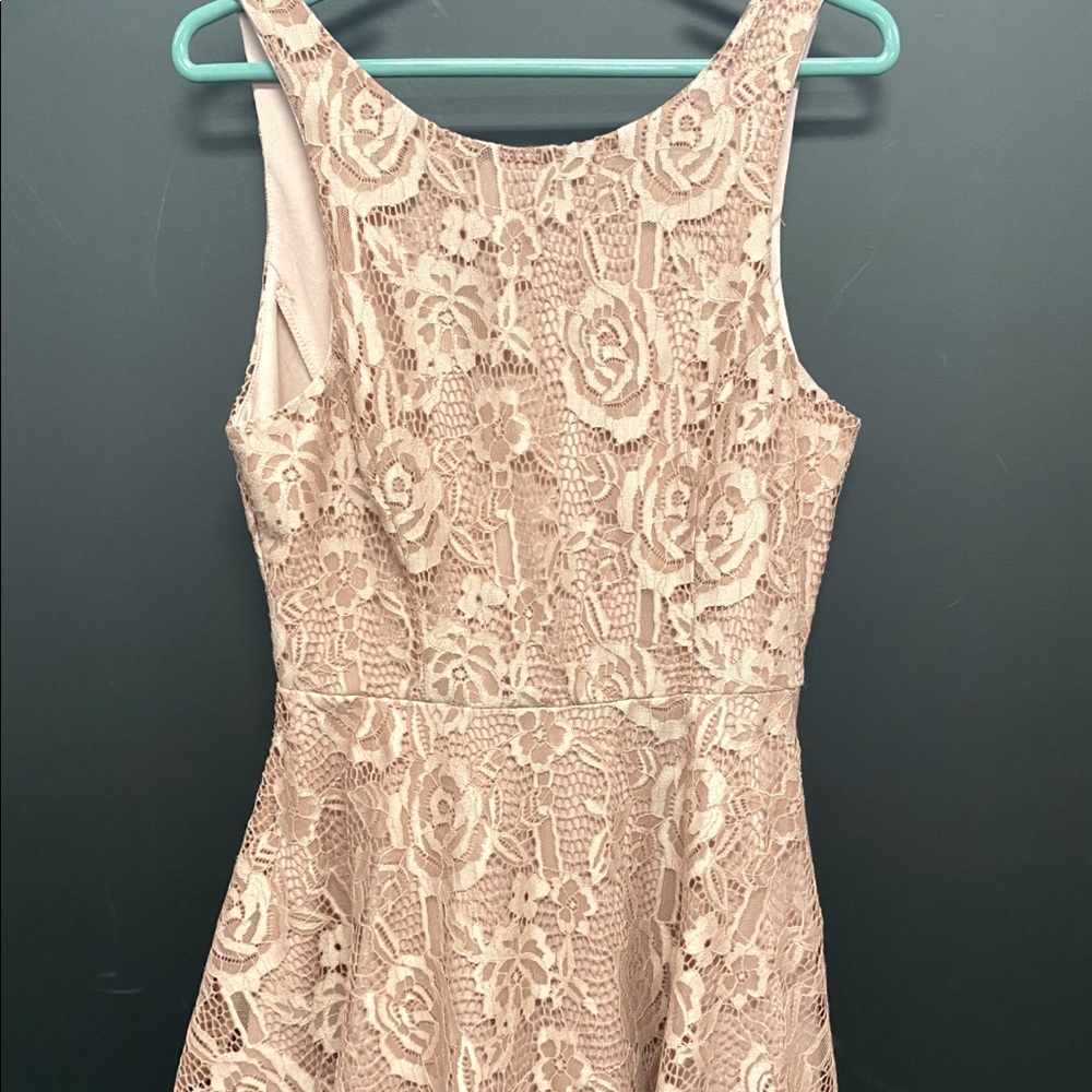 NWT Mauve colored lace dress with roses